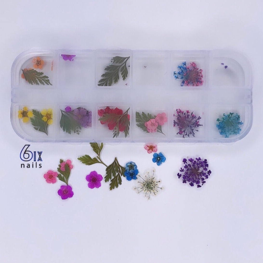 Dry Flower