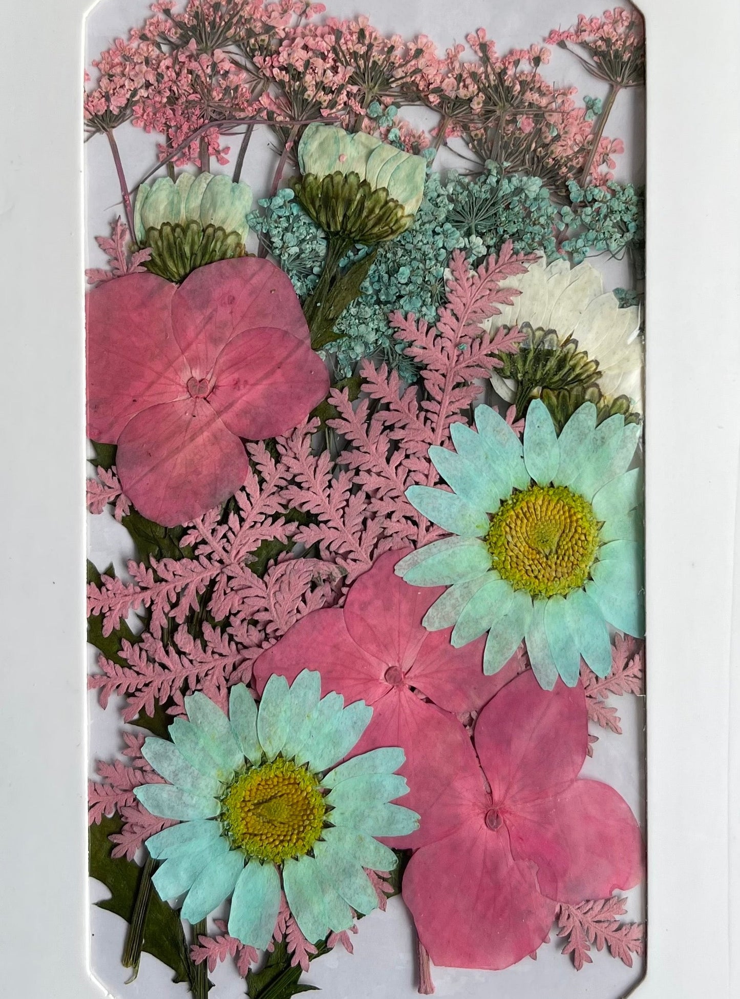 Dry Flower